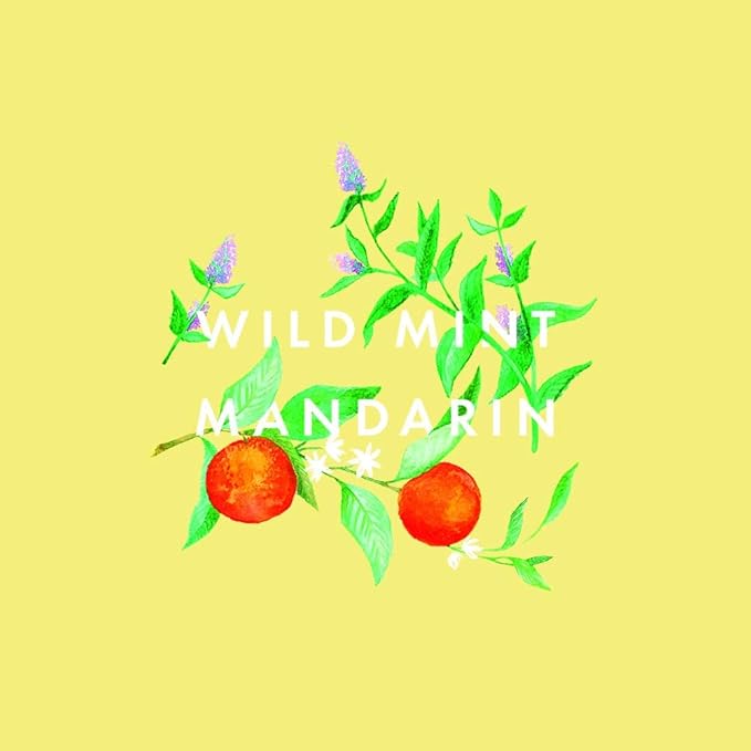 Neom- Great Day Magnesium Body Butter, 200ml | Mandarin & Wild Mint | Cream Moisturiser With Essential Oils | Nourish & Soften | Fresh & Zesty-FemmiqueWomen