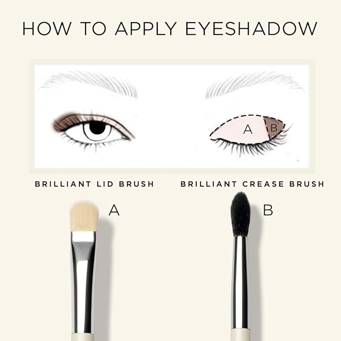 HALEYS Lid Eyeshadow Brush, Medium Flat Tapered Brush, Easy Blending and Shading for Building Eyeshadow Color, High-end Synthetic Bristles, Multi-tasking, for Cream and Powder Makeup, Vegan + CF-FemmiqueWomen