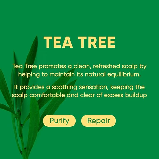 Tea Tree Shampoo Bar 2.0 - Hydrating & Moisturizing Natural Hair Soap Bar Shampoo for Excess Oil Build-Up & Scalp Nourishment - Bathing Soap Solid Shampoo for All Hair Types (120g, 4.23oz)-FemmiqueWomen