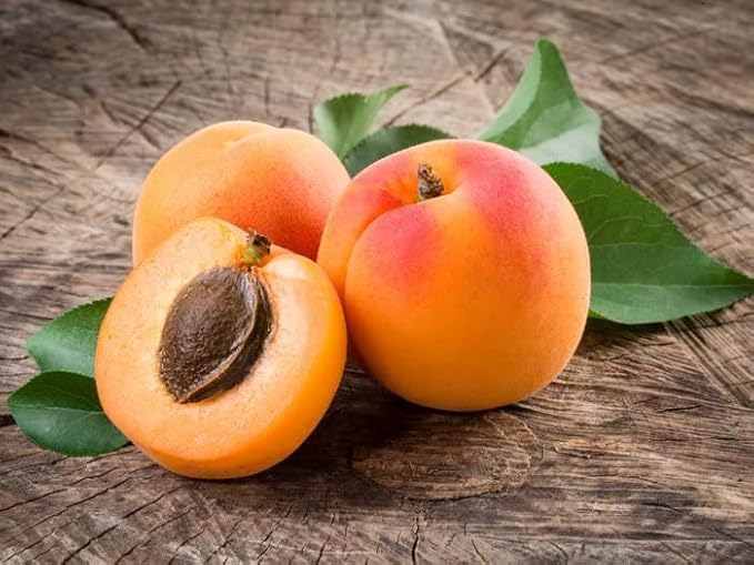 Apricot Kernel Oil - 100% Pure, Organic, Cold Pressed, Unrefined, Raw - Bitter Scent, Therapetutic Premium Grade A Kernal - Perfect for Massage, Skin, Hair & Body Care 16 OZ Quart Bulk-FemmiqueWomen