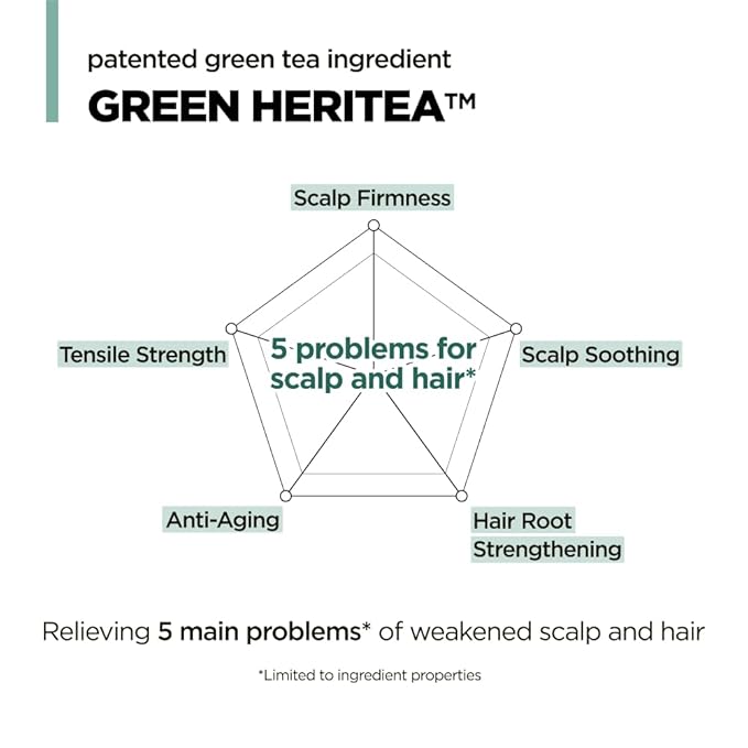 AMOS PROFESSIONAL The Green Tea Shampoo Refresh for Thinning Hair, Korean Shampoo for Oily Scalp l Deep Cleans, Strengthening Hair, All Hair Types, 16.9 fl.oz-FemmiqueWomen