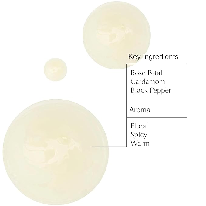 Aesop A Rose By Any Other Name Body Cleanser | Gentle Body Cleanser with Rose Petal Oil & Skin-Softening Botanicals | 16.9 oz / 500mL (Pack of 3)-FemmiqueWomen