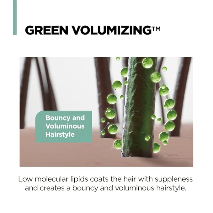 AMOS PROFESSIONAL The Green Tea Shampoo Refresh for Thinning Hair, Korean Shampoo for Oily Scalp l Deep Cleans, Strengthening Hair, All Hair Types, 16.9 fl.oz-FemmiqueWomen