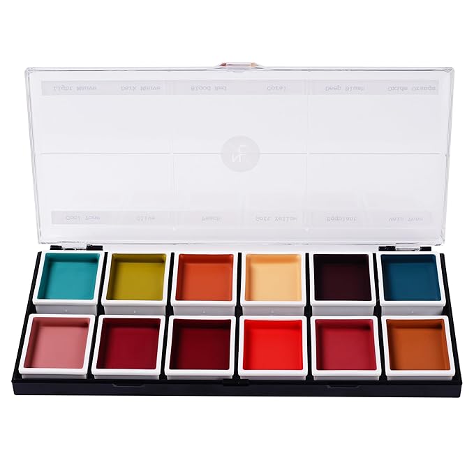 12-Color Complexion Alcohol-Activated Palette, Professional Quick Drying Waterproof SFX Makeup, Tattoo Cover-FemmiqueWomen
