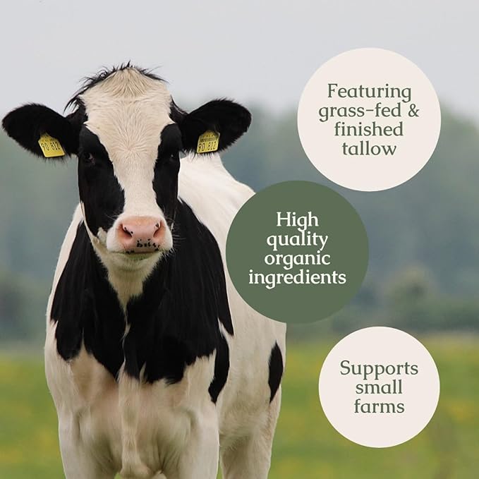 Handmade Whipped Tallow Balm (Lavender Peppermint): Organic Body Butter with Infused Olive Oil- 1.3 oz-FemmiqueWomen