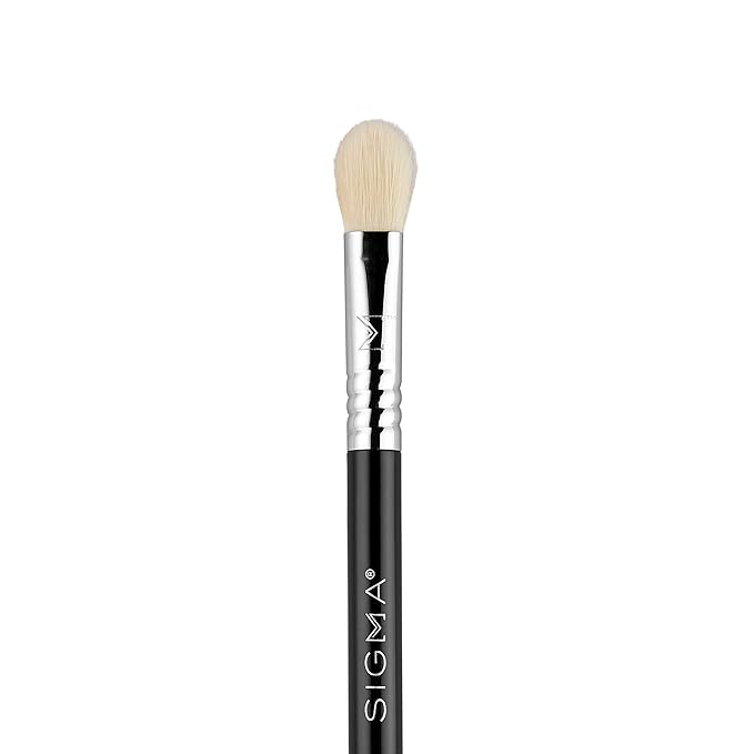 Sigma Beauty Travel Essential Trio - Makeup Brush Set for Foundation Powder Eyeshadow - 3 Tool Brushes with Brush Tin Holder - Skin Safe, Vegan Makeup Brushes for Travel - Black-FemmiqueWomen