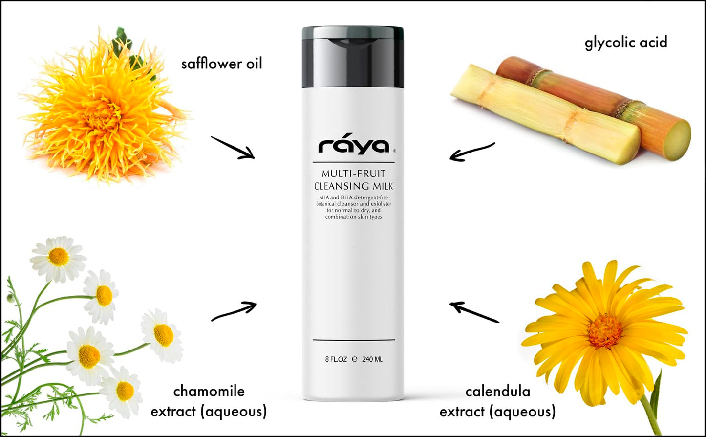 Raya Multi-Fruit Facial Cleansing Milk with AHA and BHA 8 oz (G-154) | Exfoliating Soap-Free Cleanser and Make-Up Remover for Dry and Combo Skin | Made with Multi-Fruit Alpha and Beta Hydroxy Acids-FemmiqueWomen