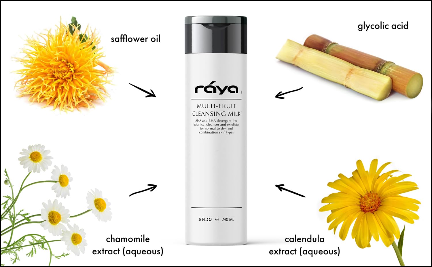 Raya Multi-Fruit Facial Cleansing Milk with AHA and BHA 8 oz (G-154) | Exfoliating Soap-Free Cleanser and Make-Up Remover for Dry and Combo Skin | Made with Multi-Fruit Alpha and Beta Hydroxy Acids-FemmiqueWomen
