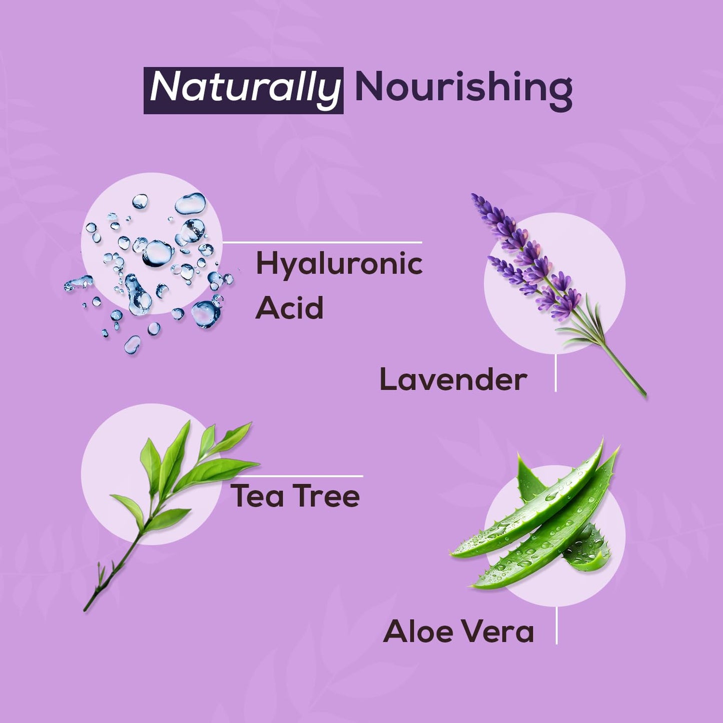 NOVEHA Lavender and Tea Tree Oil Eyelid Foaming Cleanser | Hydrating Hypoallergenic Daily Soap For Eyelashes and Lids, For Demodex, MGD, Stye Eye, Eye Irritations & Dry Skin | 3.38 fl oz (100ml)-FemmiqueWomen