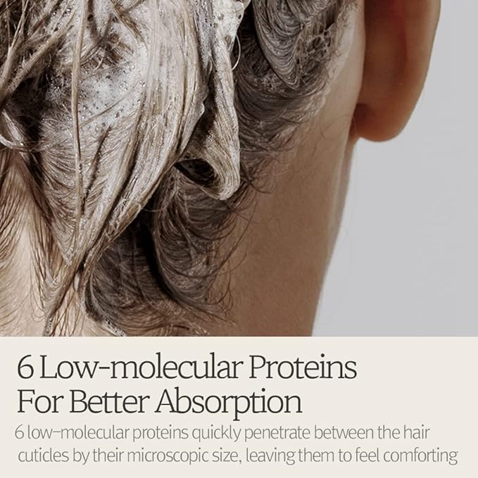 Bouquet Garni NARD Hair Shampoo Lavender Musk - Scalp Vitality, and Soft Cleansing (Containing Argan Olive Jojoba Macadamia Sunflower Oil, Protein, and Amino Acids) - 16.9 oz-FemmiqueWomen