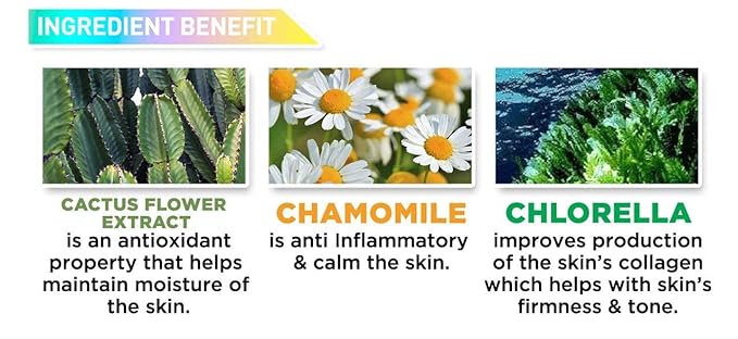 J.CAT BEAUTY Aquasurance Compact Foundation - Honey-FemmiqueWomen