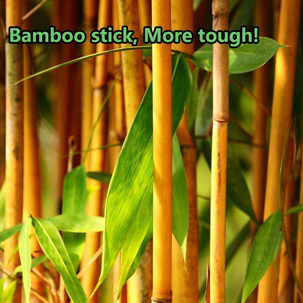 2400pcs Precision Tip Cotton Swabs for Makeup, Bamboo Sticks and Double Pointed-FemmiqueWomen