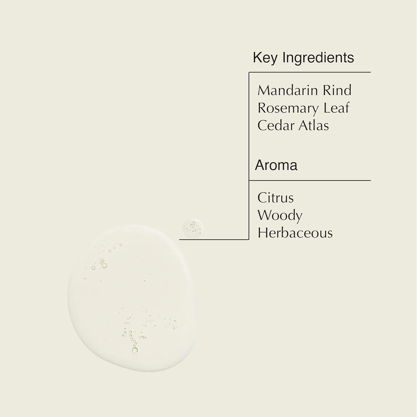 Aesop Resurrection Aromatique Hand Wash | Gentle Cleanser with Orange, Rosemary and Lavender Oils | 500mL / 16.9 oz-FemmiqueWomen