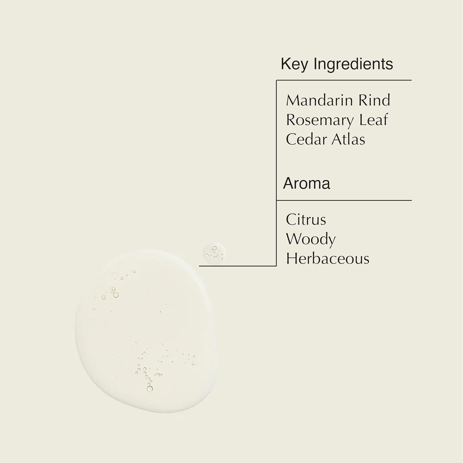 Aesop Resurrection Aromatique Hand Wash | Gentle Cleanser with Orange, Rosemary and Lavender Oils | 500mL / 16.9 oz-FemmiqueWomen