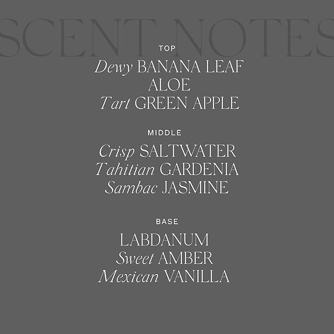 Antica Farmacista Body Moisturizer - Moisturizing Scented Lotion - Premium Body Moisturizer - Luxury Gift for Women & Men - Hand & Skin Hydration - Lush Palm, 10 Fl Oz-FemmiqueWomen