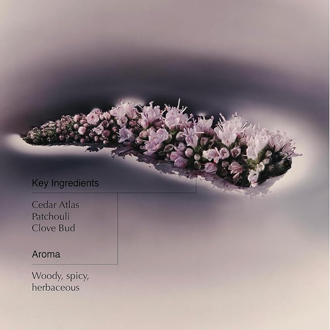 Aesop Eleos Nourishing Body Cleanser | Hydrating Ingredients For Refreshed, Soft Skin | Enriched With Emollients, Humectants, Purifying Botanicals | 500mL / 16.9oz-FemmiqueWomen