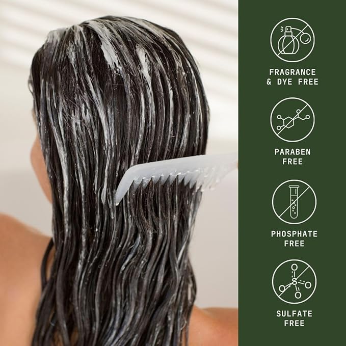 Natural Shampoo for Hair Care, Sulfate Free Shampoo with Castor Oil, Honey, Biotin, Glycerin, Aloe Vera & Mild Thickening Agent, Unscented, Dry to Color Treated to All Hair, 13.5 fl oz-FemmiqueWomen