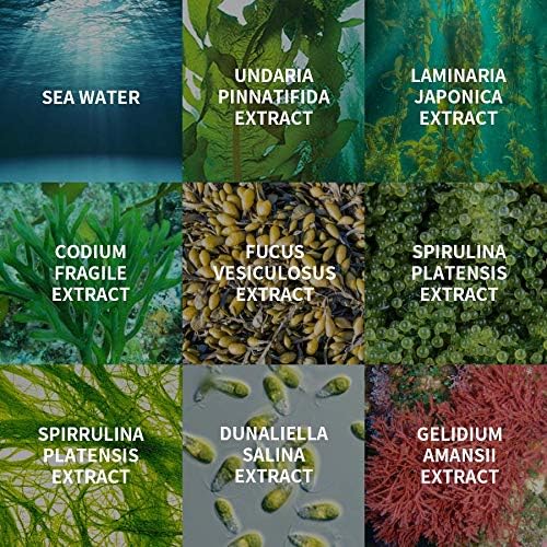 [BUVLEY] 8-Hydro Aqua Bubble Innovative Facial Toner, Deep Hydrating, Moisturizing, Anti Aging - Cruelty Free, Made in Korea Pack of (1)-FemmiqueWomen