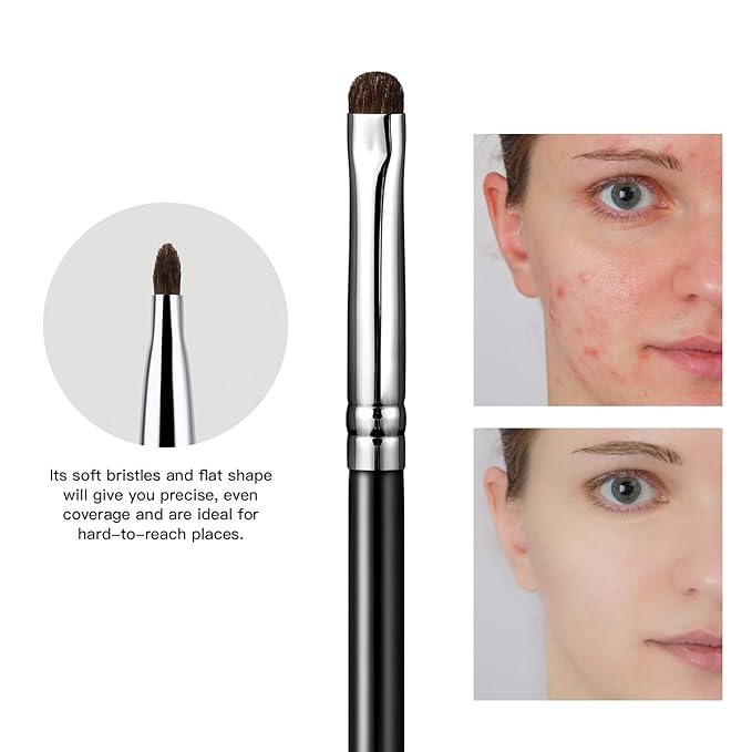 EIGSHOW Concealer Brush, Detail Shader Makeup Brush for Blending Eyeshadow, Concealing Small Blemishes and Imperfections - Precision Application (E867)-FemmiqueWomen