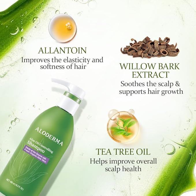 Aloderma Oil Controlling Shampoo Made with Freshly Harvest, Organic Aloe Vera for Oily Hair & Scalp - Infused with Tea Tree Oil and Willow Bark Extract to Gently Cleanse Build Up Without Drying - 16oz-FemmiqueWomen