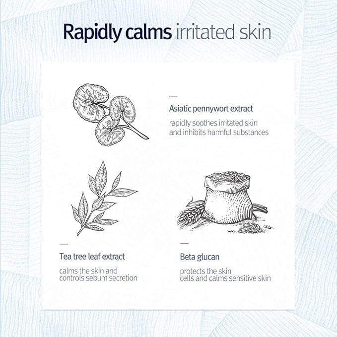 Pyunkang Yul PKY Low pH Pore Deep Cleansing Foam, Pore Cleanser with Fluffy Microbubbles, AHA, Witch Hazel, Zero Irritation, Korean Skincare (3.38 Fl. Oz, 100ml)-FemmiqueWomen