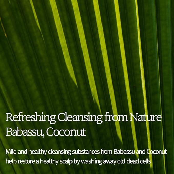 Bouquet Garni NARD Hair Shampoo Lavender Musk - Scalp Vitality, and Soft Cleansing (Containing Argan Olive Jojoba Macadamia Sunflower Oil, Protein, and Amino Acids) - 16.9 oz-FemmiqueWomen