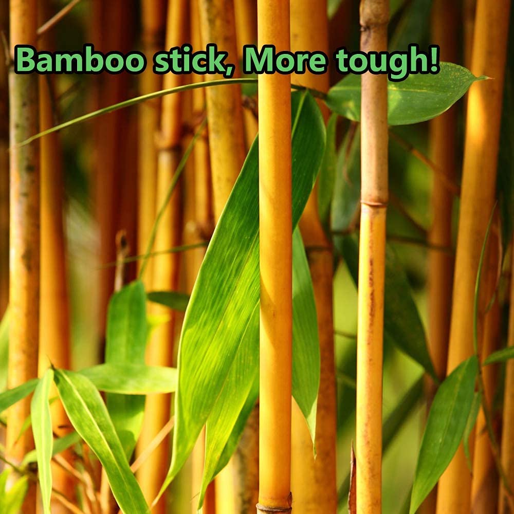 3600pcs Precision Tip Cotton Swabs for Makeup, Bamboo Sticks and Double Pointed-FemmiqueWomen