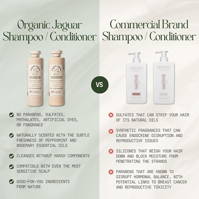 Natural Shampoo for Hair Care, Sulfate Free Shampoo with Castor Oil, Honey, Biotin, Glycerin, Aloe Vera & Mild Thickening Agent, Unscented, Dry to Color Treated to All Hair, 13.5 fl oz-FemmiqueWomen