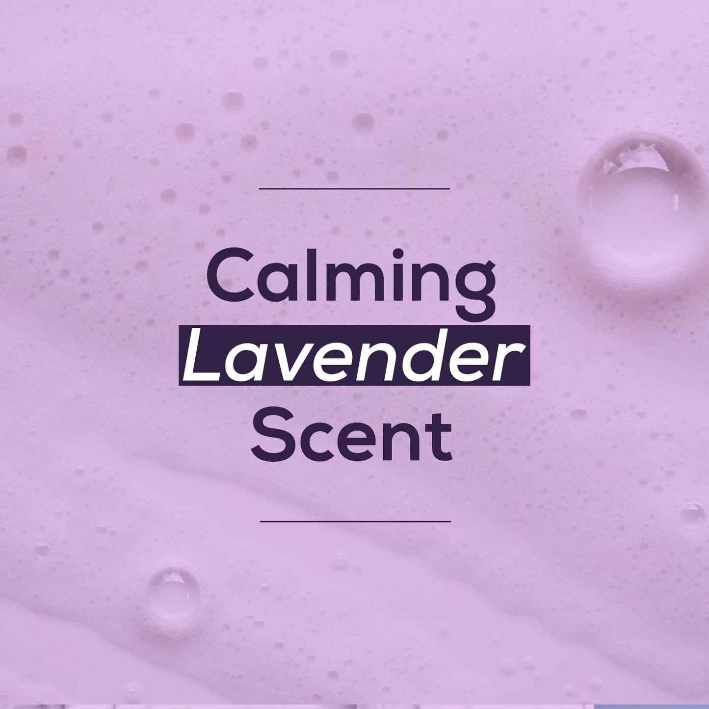 NOVEHA Lavender and Tea Tree Oil Eyelid Foaming Cleanser | Hydrating Hypoallergenic Daily Soap For Eyelashes and Lids, For Demodex, MGD, Stye Eye, Eye Irritations & Dry Skin | 3.38 fl oz (100ml)-FemmiqueWomen