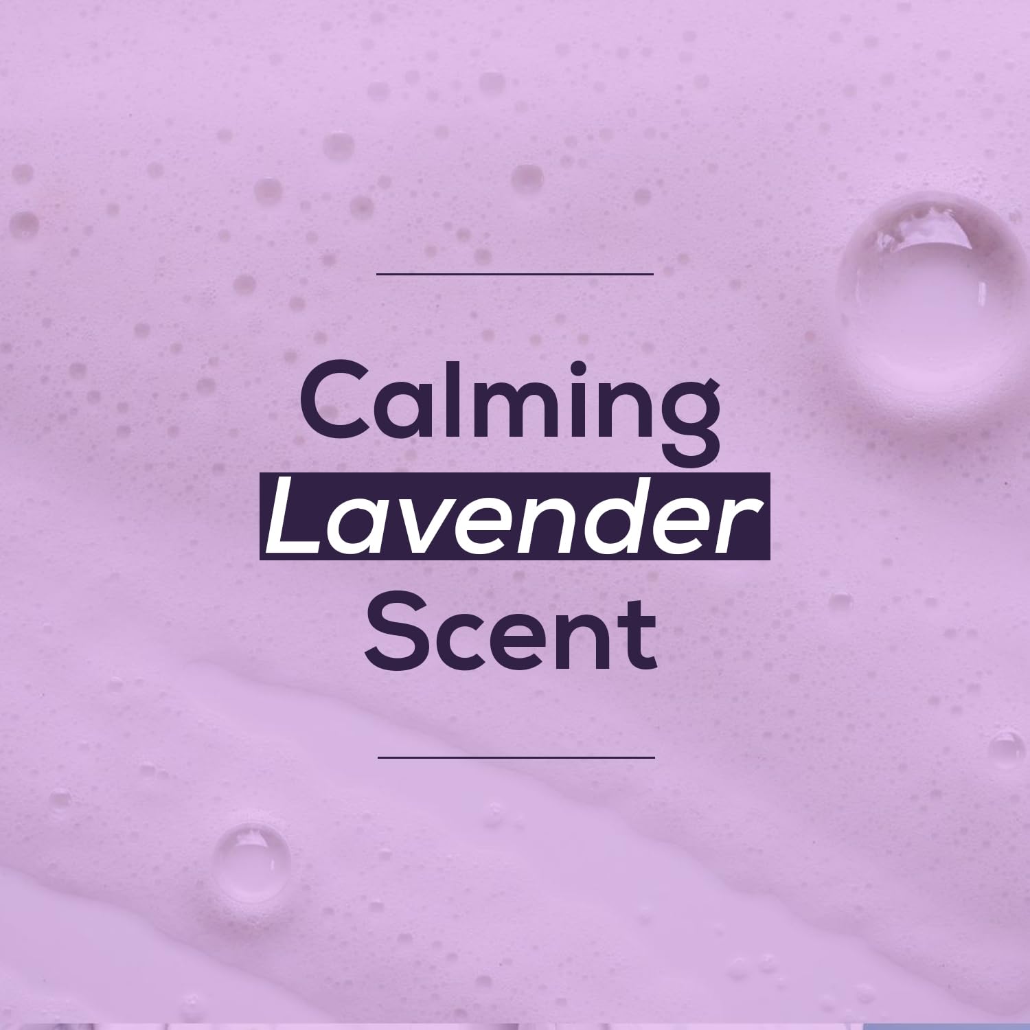 NOVEHA Lavender and Tea Tree Oil Eyelid Foaming Cleanser | Hydrating Hypoallergenic Daily Soap For Eyelashes and Lids, For Demodex, MGD, Stye Eye, Eye Irritations & Dry Skin | 3.38 fl oz (100ml)-FemmiqueWomen