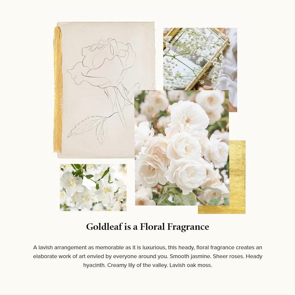 Thymes Goldleaf Perfumed Body Crème - Moisturizing Body Cream - Shea Butter Body Lotion with Vitamin E, jojoba Oil, and Honey for Skin Care Routine - Body and Hand Lotion for Women & Men (9.25 fl oz)-FemmiqueWomen