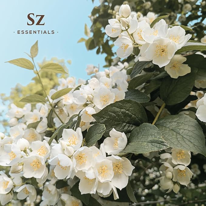 Jasmine Absolute Essential Oil – 100% Pure & Undiluted – 4 Jasminum Species – Divine Floral & Exotic Scent! – Aromatherapy & Natural Perfumery - Therapeutic Grade & Vegan – 0.17oz (5mL)-FemmiqueWomen