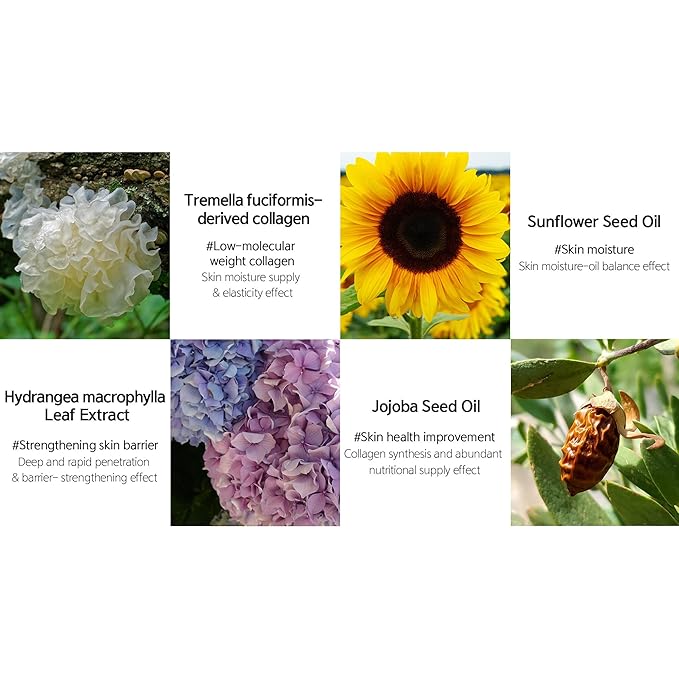 LALACHUU Glow Mist Serum – Hydrating & Soothing Face Mist Artemisia, Centella Asiatica, Evening Primrose, Korean Skin Care, Made in Korea, for Sensitive Skin (Intensive, 3.38 oz)-FemmiqueWomen