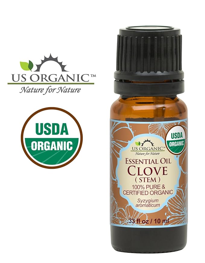US Organic 100% Pure Clove Stem Essential Oil - USDA Certified Organic, Steam Distilled (10 ml)-FemmiqueWomen