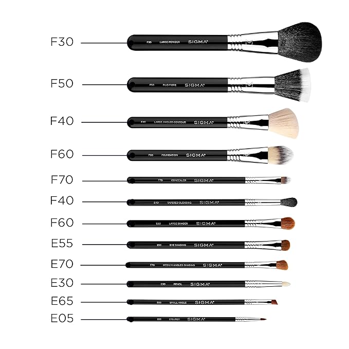 Sigma Beauty Essential Makeup Brushes Set – Professional Grade Makeup Brush Set with Premium Fibers and Sleek, Durable Handles for Face & Eyes, Includes 12 CK001 Black Makeup Brushes-FemmiqueWomen