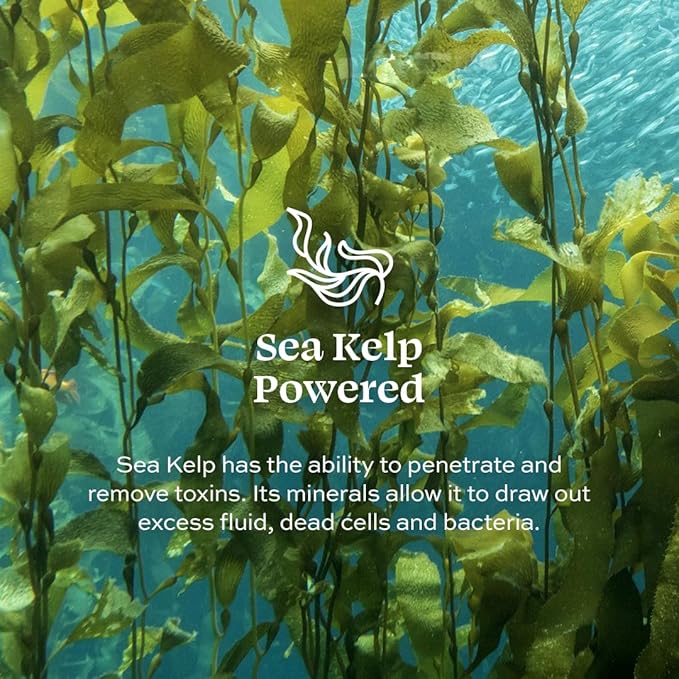 Aleavia Orchid Prebiotic Body Lotion – Lightly Scented, All-Natural Moisturizing Body Lotion with Organic Essential Oils for Soft, Smooth Skin – 12 Oz-FemmiqueWomen