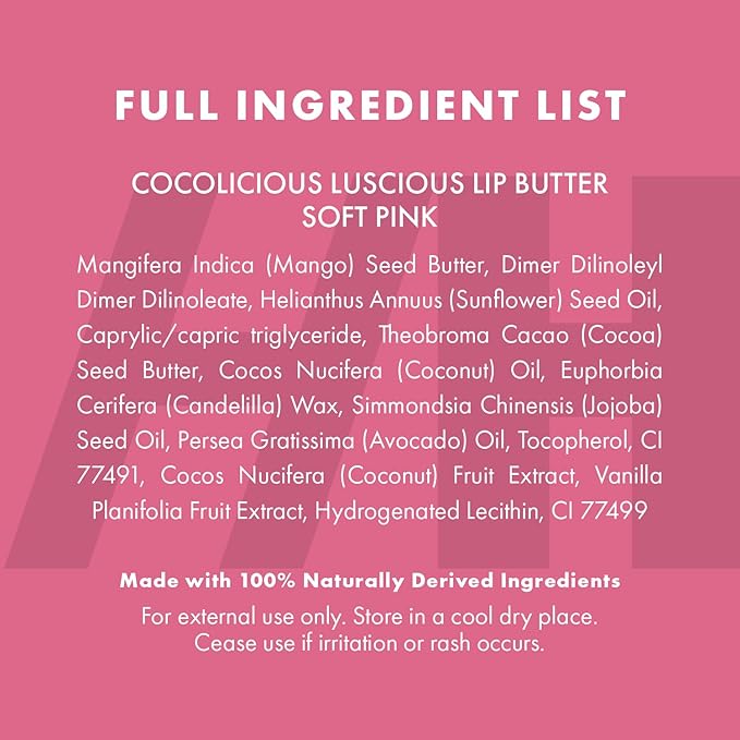 100% Natural Tinted Lip Butter Sleeping Lip Mask Clean Petroleum Free Lip Moisturizer and Conditioner for Dry Lips Intensive Lip Balm and Lip Therapy Skin Care with Mango butter (Light Pink)-FemmiqueWomen