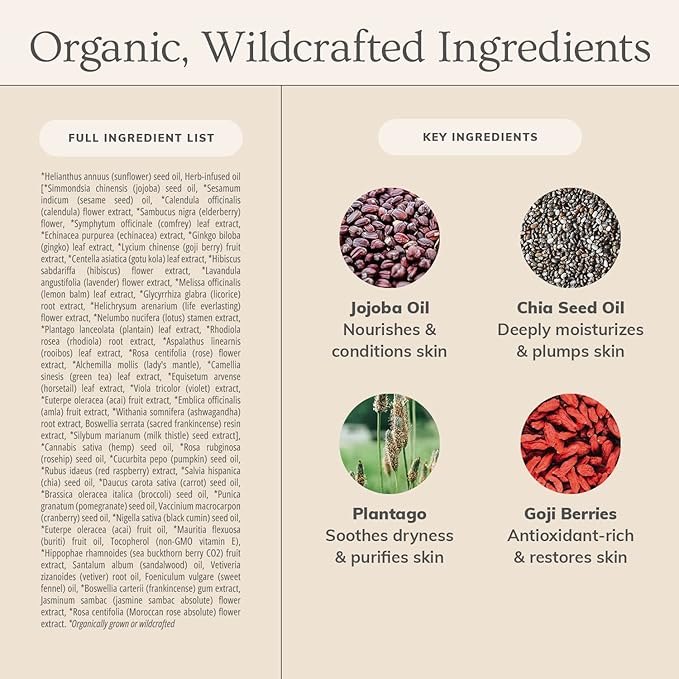 Anti-Aging Facial Oil by Annmarie Gianni Skin Care-FemmiqueWomen