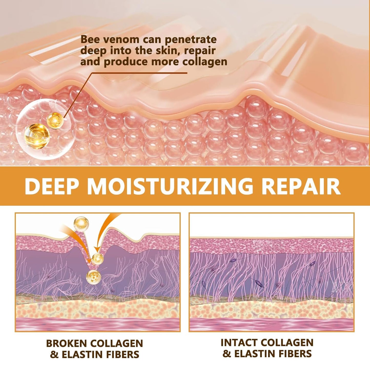 Botoxin Bee Venom Wrinkle Removal Cream, Anti-Aging, Restore and Enhance Skin Elasticity, Natural and Non-Irritating, Suitable for Sensitive, Dry, Oily Skin 0.71 Ounce (Pack of 3)-FemmiqueWomen