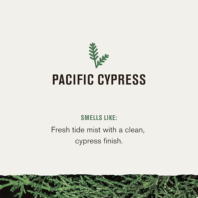 Every Man Jack Nourishing Pacific Cypress Mens Body Wash for All Skin Types - Naturally Derived Ingredients - Cleanse and Hydrate Skin with Coconut and Glycerin - 24oz 2 Bottles-FemmiqueWomen