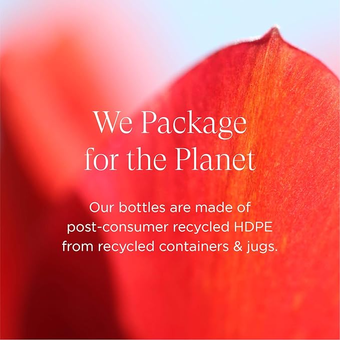 Intelligent Nutrients OneBody Hand Balm & Lip Delivery Nutrition Holiday Set - Help Soothe Dry Hands, Cuticles & Lips (2-Piece Set)-FemmiqueWomen