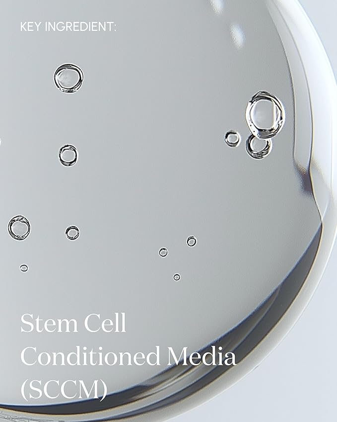 The Essence Rejuvenating Mist 50 Milliliter-FemmiqueWomen