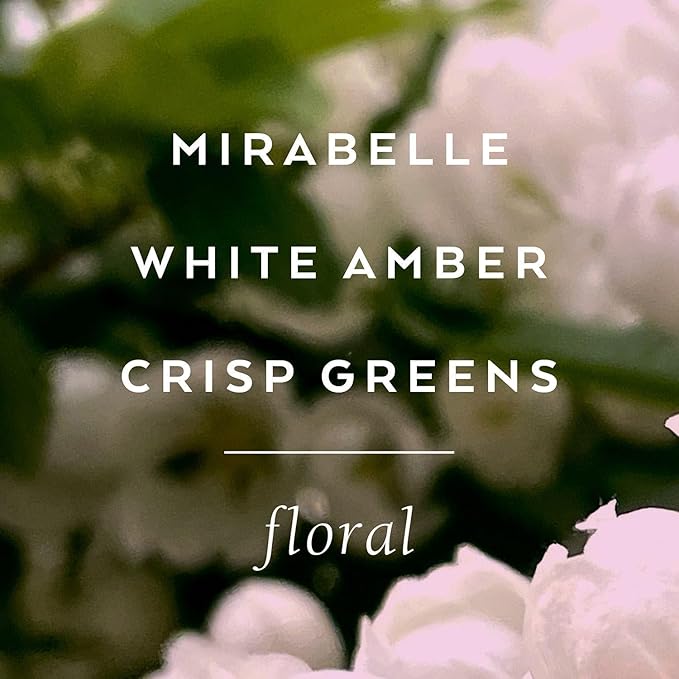 Lollia Elegance Body Butter, 5.5 oz. – White Amber & Mirabelle - Shea Butter & Cocoa Butter, Body Lotion for Women, Hydrating & Smooth Body Moisturizer-FemmiqueWomen