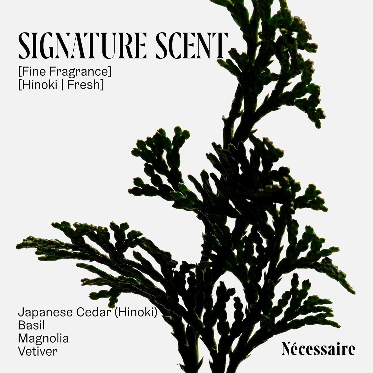 Nécessaire The Body Wash - Collection Set. Self Care Gifts for Women + Men, 4x Travel Size Skin Care Set, Natural Body Wash for Women + Men. With Vitamins + Niacinamide. Gel Cleanse, 3.4 fl oz.-FemmiqueWomen