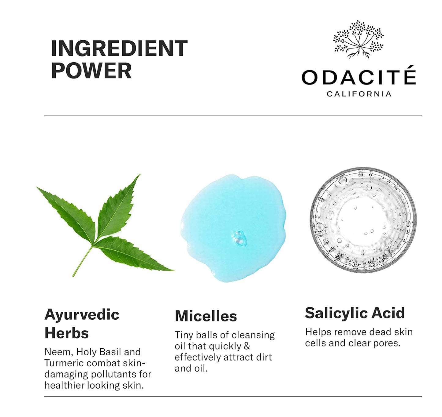 ODACITE Odacité Facial Cleanser with Foam - Blue Aura Cleansing Water Facial Wash with Neem, Holy Basil & Turmeric - No-Rinse Micellar Water Removes Pollution, Impurities & Makeup, 4.0 fl. Oz-FemmiqueWomen