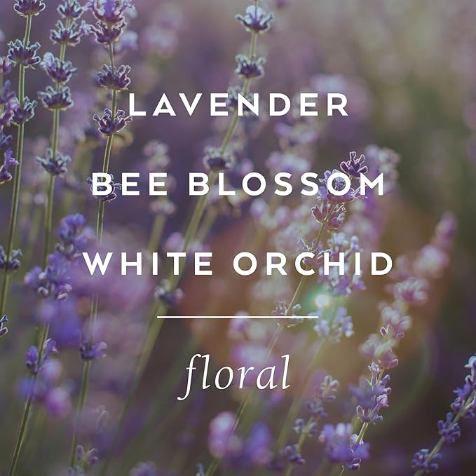 LOLLIA Relax Body Butter, 5.5 oz. - Lavender & Honey Fragrance - Shea Butter & Cocoa Butter, Body Lotion for Women, Hydrating & Smooth Body Moisturizer-FemmiqueWomen