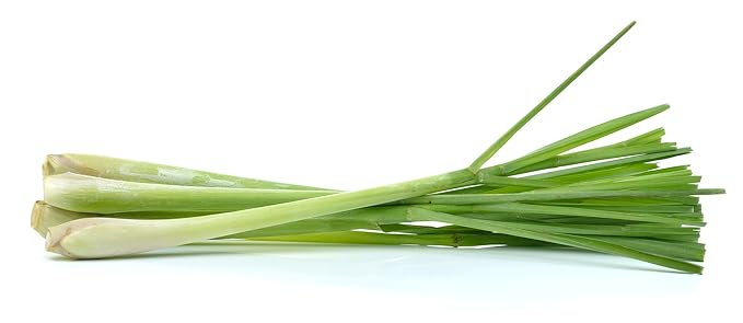 US Organic 100% Pure Lemongrass Essential Oil, USDA Certified Organic, Extracted by Steam Distillation Method, for Hair, Nail Polish Remover, Bees Attraction, and More. 10 ml-FemmiqueWomen