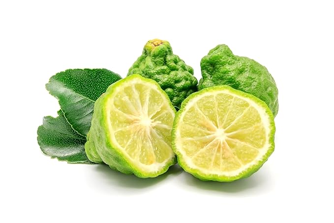 US Organic 100% Pure Bergamot Essential Oil, USDA Certified Organic, Cold Pressed, with Euro droppers (More Size Variations Available) (15 ml / .5 fl oz)-FemmiqueWomen