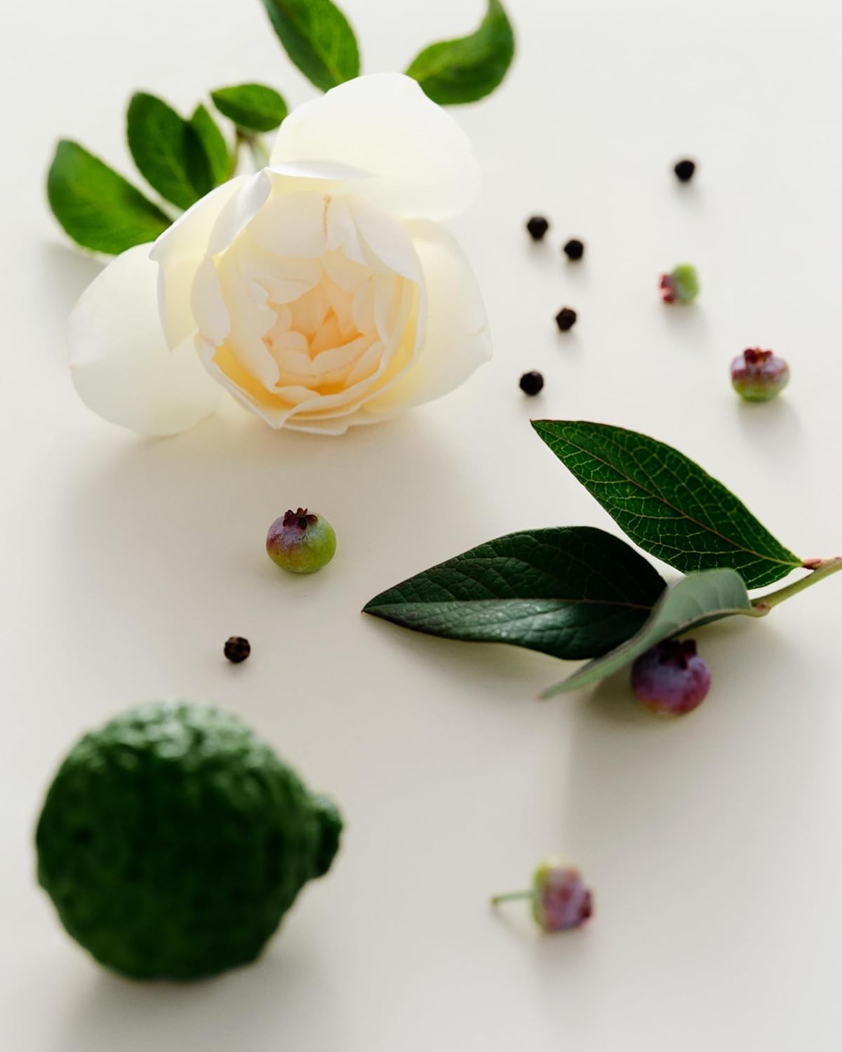 Maison Louis Marie - Antidris Cassis Natural Roll-On Perfume Oil Sample | Luxury Clean Beauty + Non-Toxic Fragrance (0.1 fl oz | 3 ml)-FemmiqueWomen