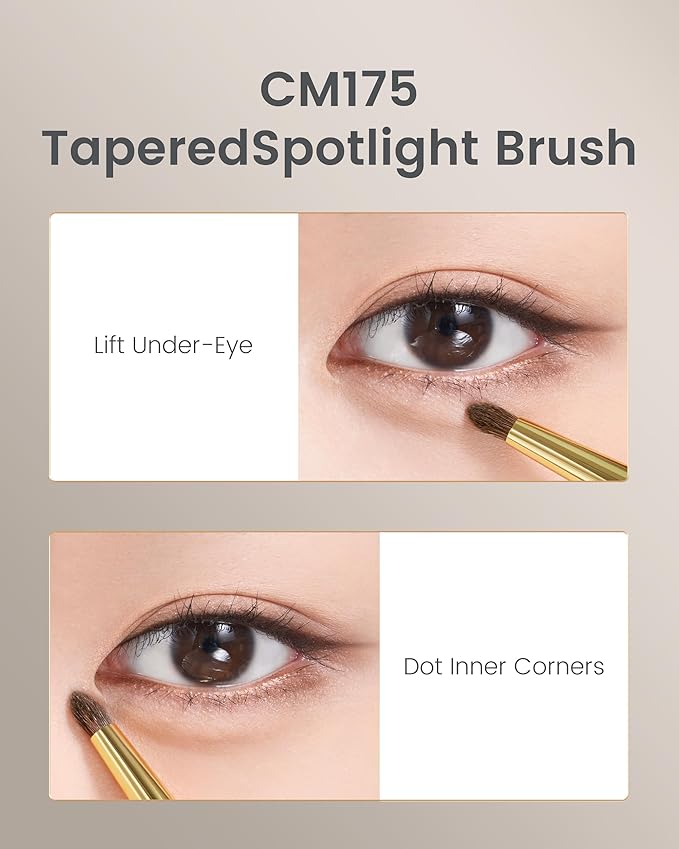 Desert Oak Series Tapered Spotlight Brush - Precision Pony Hair Brush for Inner Corner & Under-Eye Highlighting, Bubinga Handle & Gold Ferrule (CM 175)-FemmiqueWomen